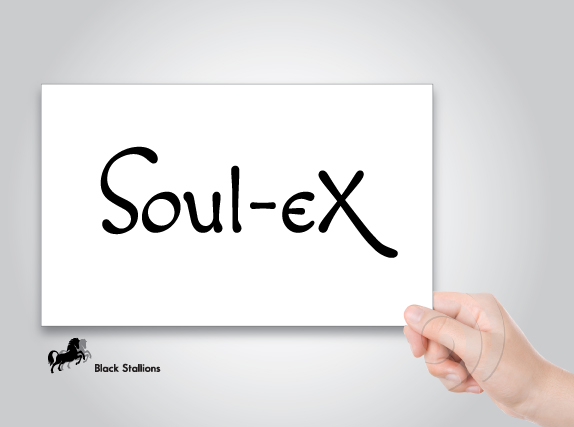 Signage Design by Impressive Solutions for Soul-eX | Design #3868316