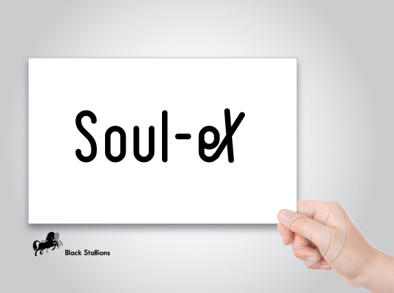 Signage Design by Impressive Solutions for Soul-eX | Design #3868331
