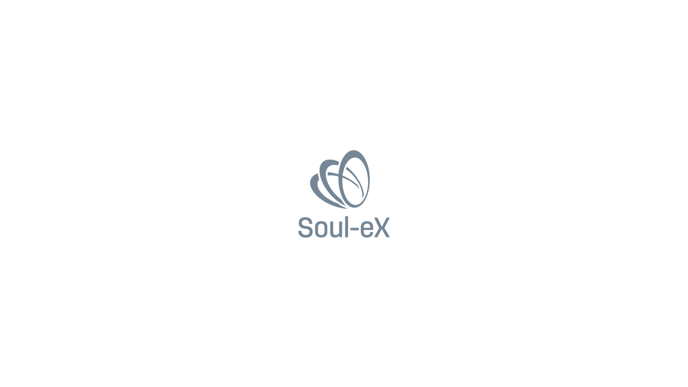 Schilder-Design von Dalibor Pajic für Soul-eX | Design #4620133