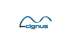 Logo Design by faiki for iCignus Tecnologia e Consultoria | Design: #4027065