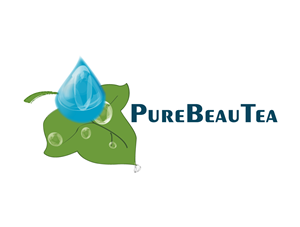 Logo Design by echidna
