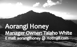 Business Card Design by shazzking for this project | Design #3920308