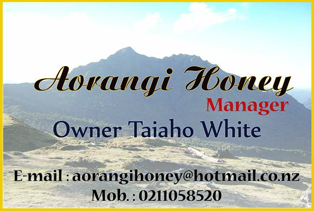 Diseño de Tarjeta de Presentación por Amity para este proyecto | Diseño #3872521