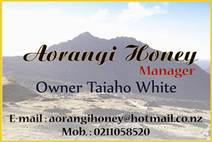 Business Card Design by Amity