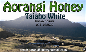 Business Card Design by Jasmin