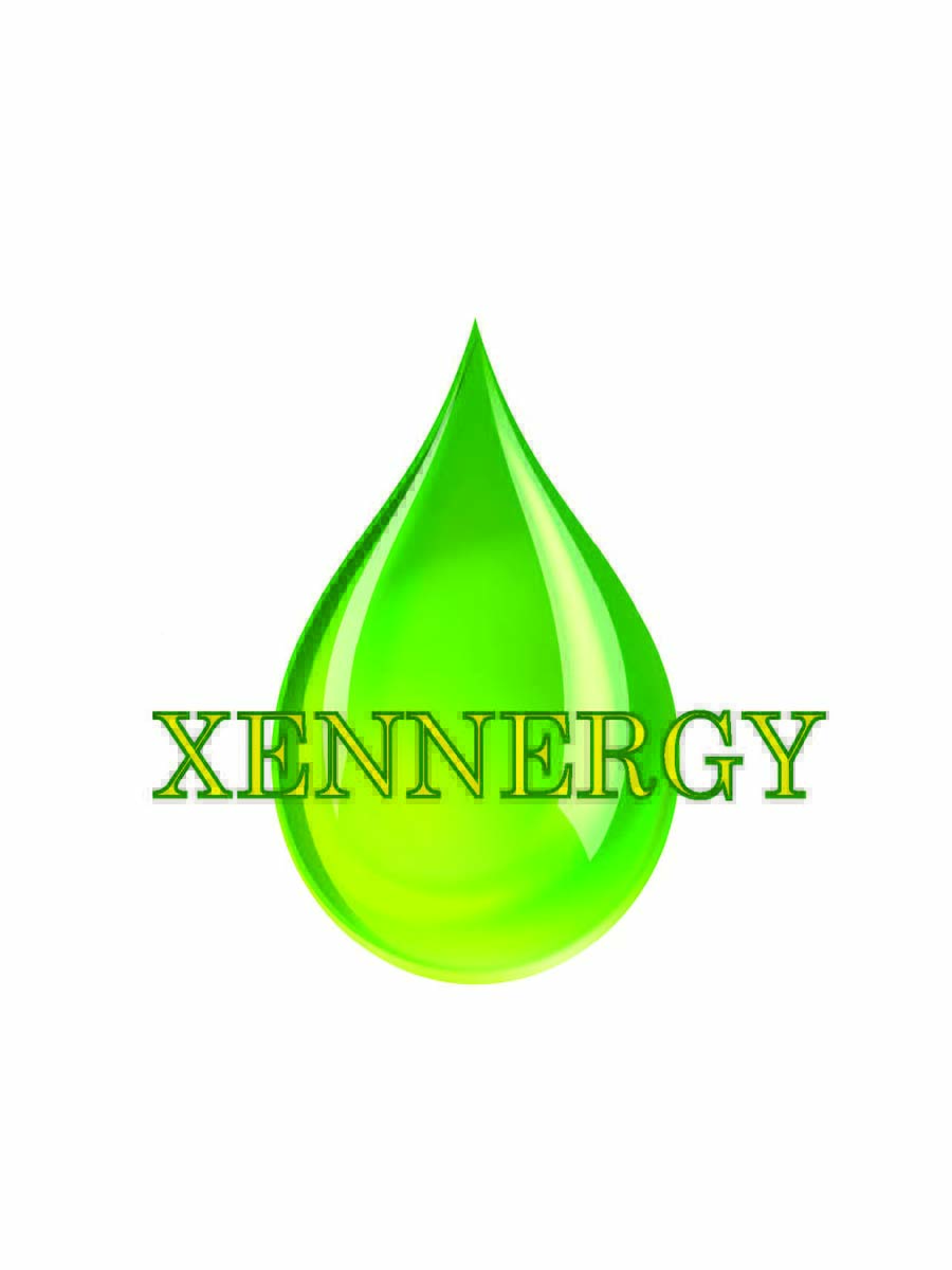 Logo Design by Ricky DeSantis for this project | Design #1030954