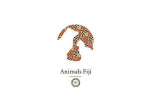 Logo Design by WITS