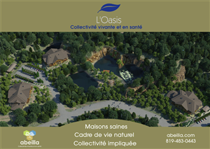 Brochure and Banner Designs