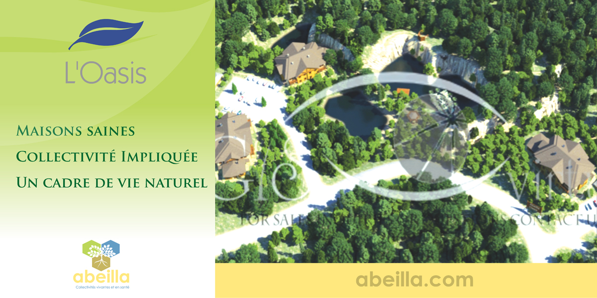 Brochure Design by Rudzy for this project | Design #1069592