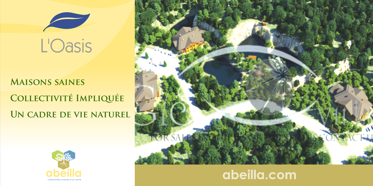 Brochure Design by Rudzy for this project | Design #1071681