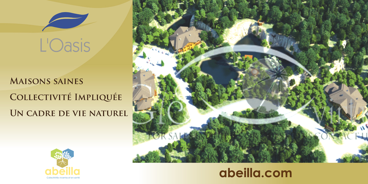 Brochure Design by Rudzy for this project | Design #1072409
