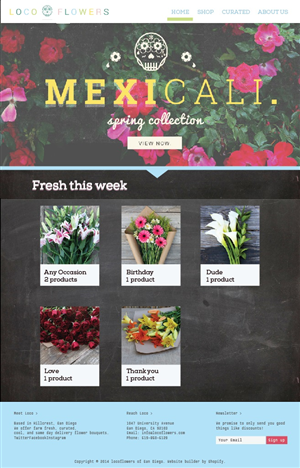 Web Design by Anton