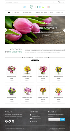 Web Design by Infinity Pix