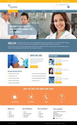 Web Design by DIO