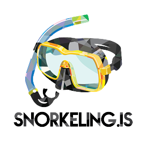 Logo Design by RoobyDesigns