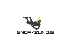 Logo Design by TechWise