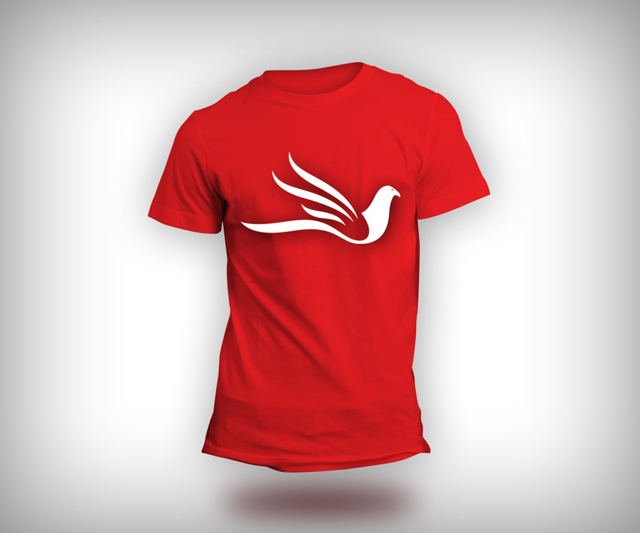 Logo Design by Spektron Designs for Phoenix4Training LLP | Design #3932146