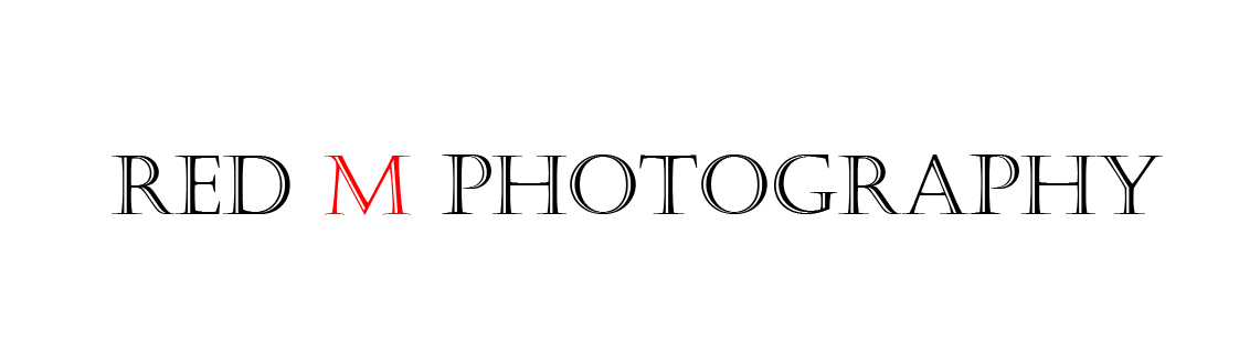 Logo Design by Emily for this project | Design #1044089
