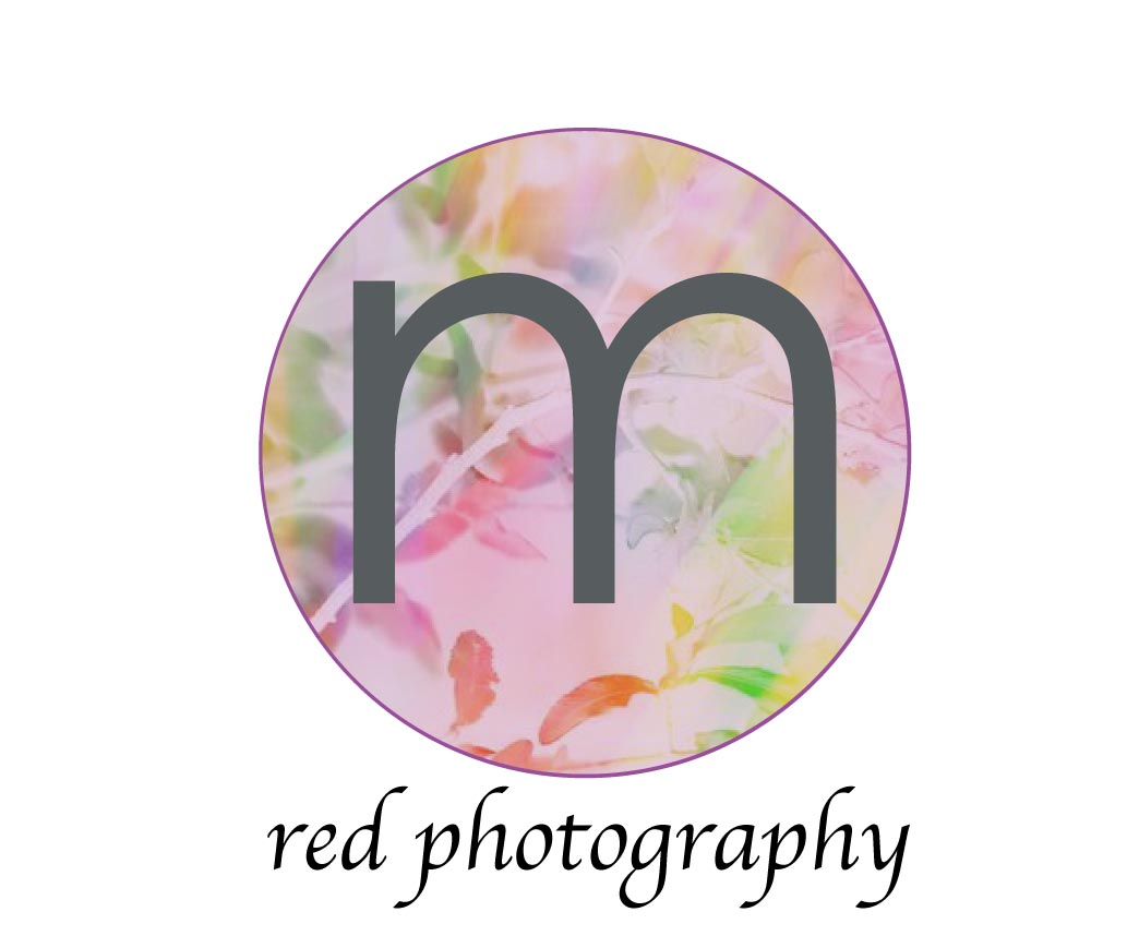 Logo Design by alice.91 for this project | Design #1029090