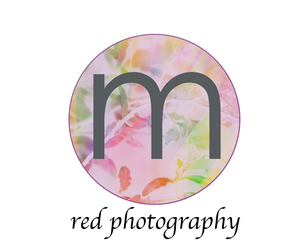 Logo Design by alice.91 for this project | Design: #1029090