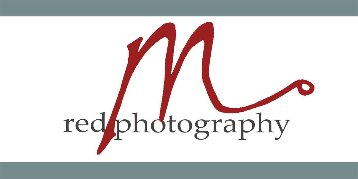 Logo Design by August and Stitch for this project | Design #1028945
