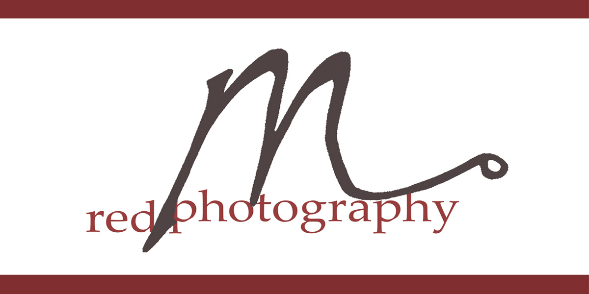 Logo Design by August and Stitch for this project | Design #1028948
