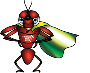 Illustration Design by Raelene Young for Butterfly Skye | Design #1034582