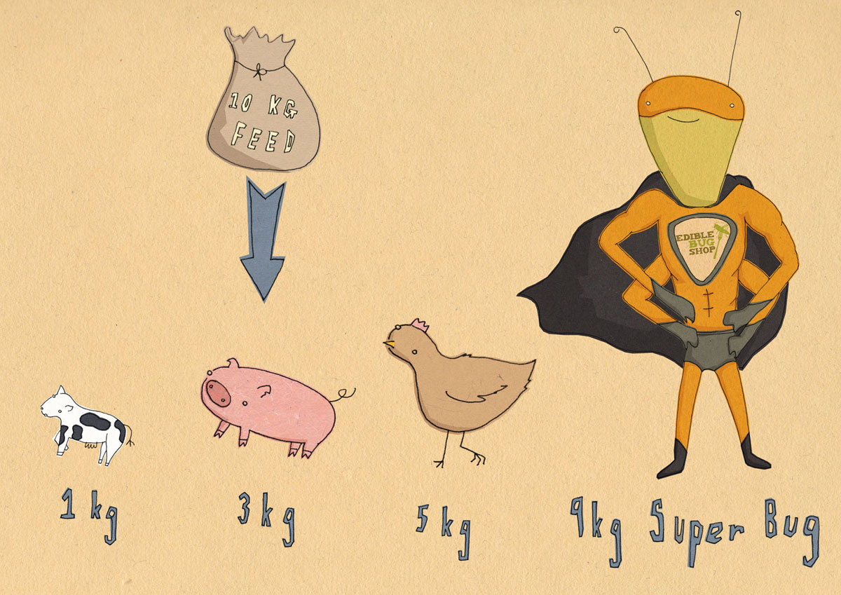 Illustration Design by daisydesigns for Butterfly Skye | Design #1059297