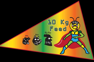 Illustration Design by Emily Lee  for Butterfly Skye | Design #1050674
