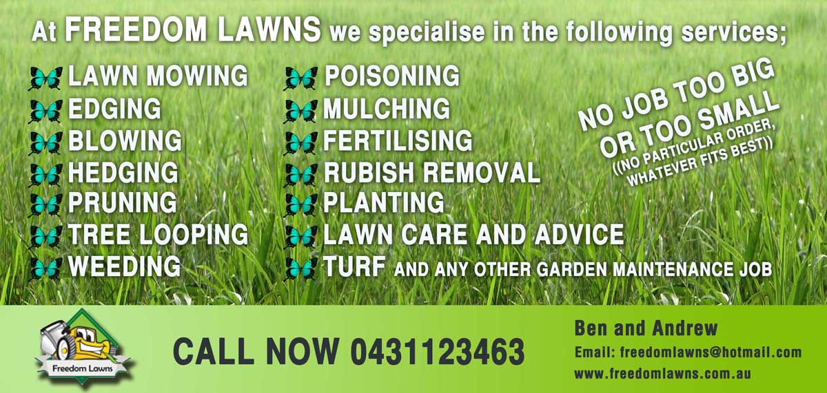 Flyer Design by Sandy for Freedom Lawns | Design #1053156