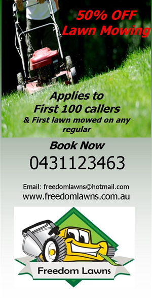 Flyer Design by Designwiz