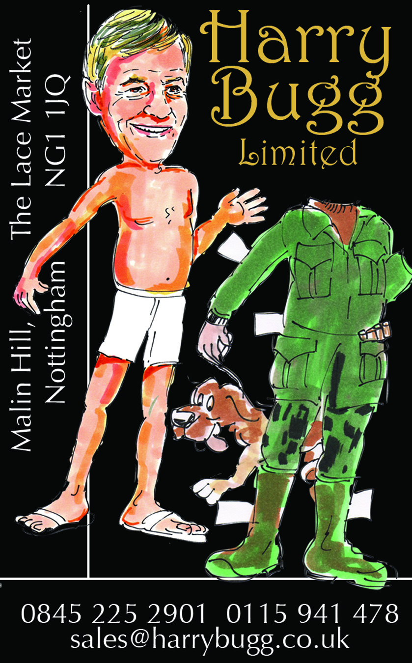 Business Card Design by Karin Heine for Harry Bugg Ltd | Design #1074116