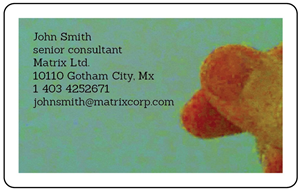 Business Card Design by dead simpl for Harry Bugg Ltd | Design: #1098850