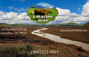 Logo Design by SeXtreme for Canadian AH&N | Design: #3891763