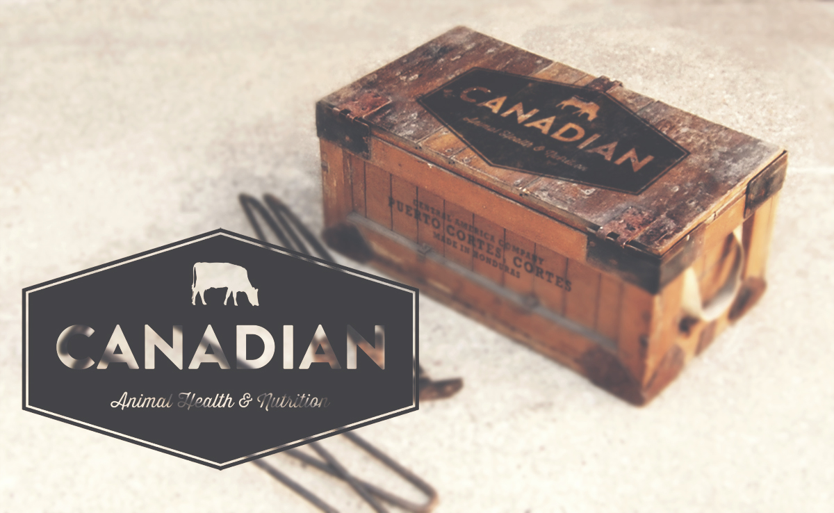 Logo Design by maisieeverett for Canadian AH&N | Design #3891958