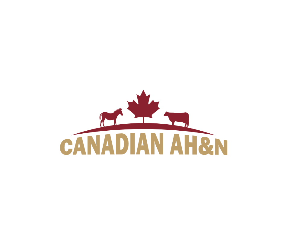 Logo Design by b100 for Canadian AH&N | Design #3878452