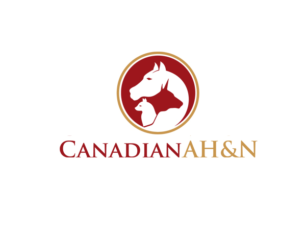 Logo Design by EYECON for Canadian AH&N | Design #3914318