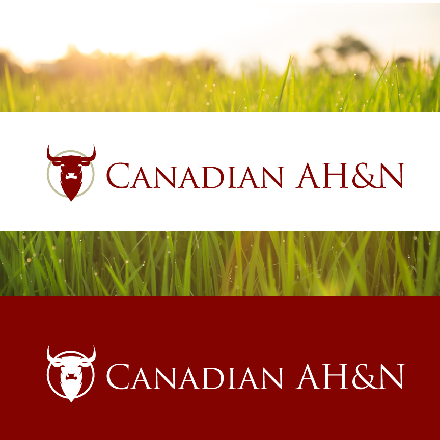Diseño de Logo por J. Brandt Studio para Canadian AH&N | Diseño #3865246