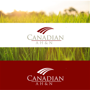 Logo Design by J. Brandt Studio for Canadian AH&N | Design: #3865273