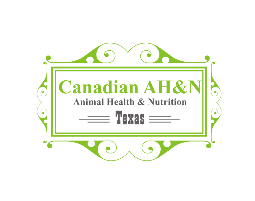 Logo Design by Isbie for Canadian AH&N | Design #3881319