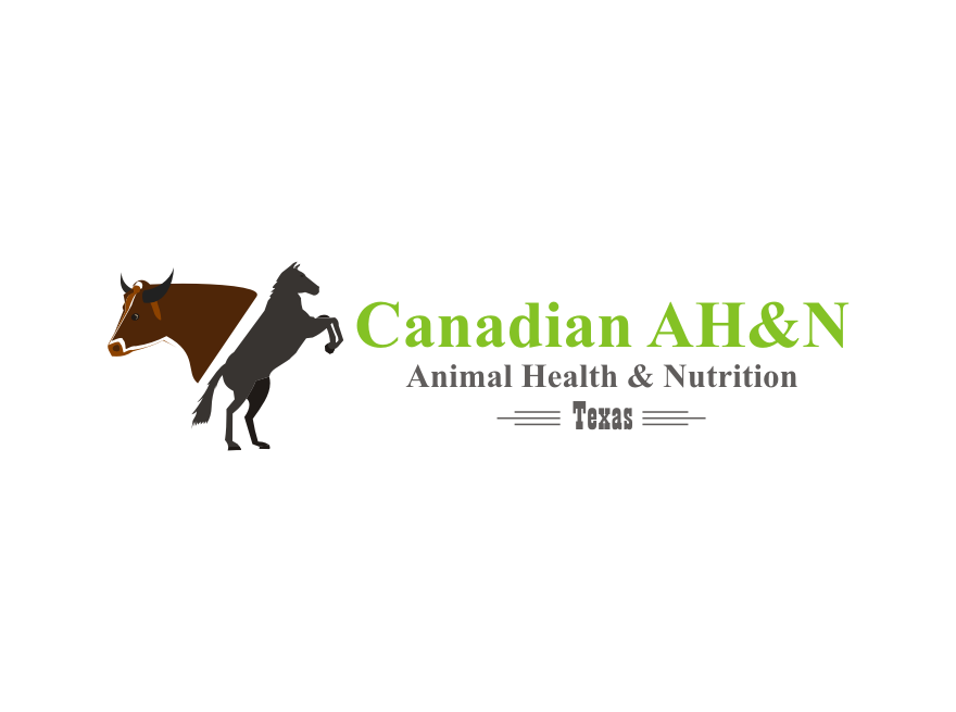 Logo Design by Isbie for Canadian AH&N | Design #3881322