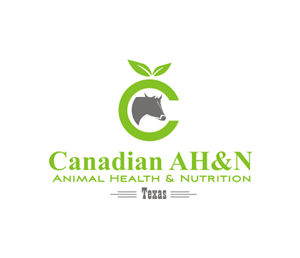 Logo Design by Isbie for Canadian AH&N | Design: #3881422