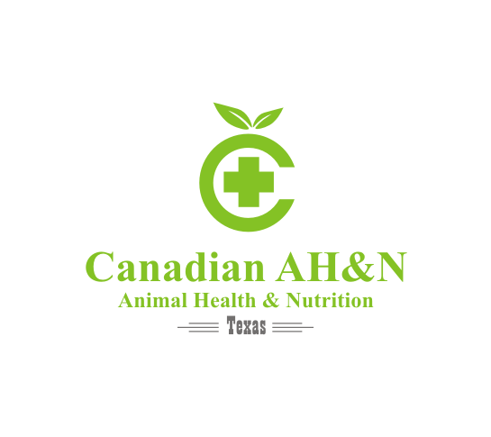 Logo Design by Isbie for Canadian AH&N | Design #3881462