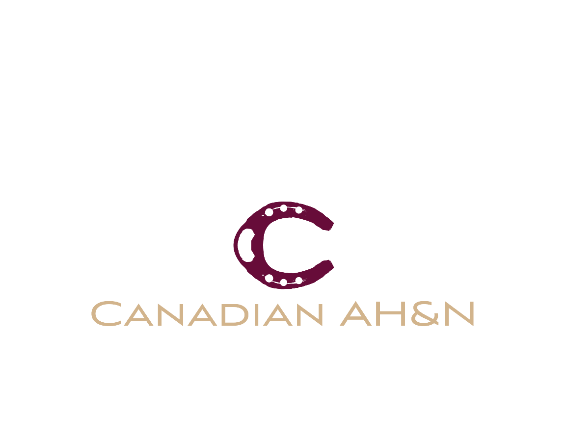 Logo Design by EZO Design for Canadian AH&N | Design #3894657