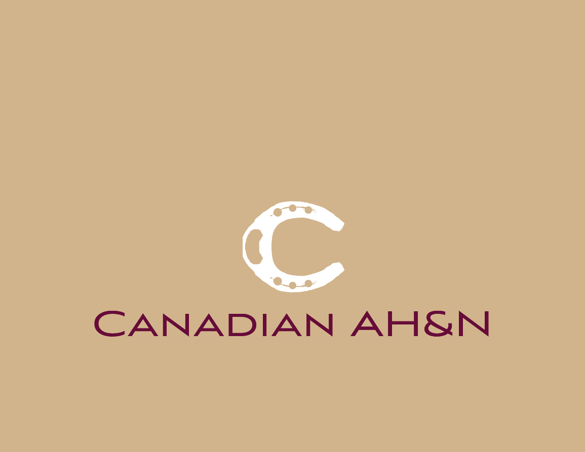 Logo Design by EZO Design for Canadian AH&N | Design #3894658
