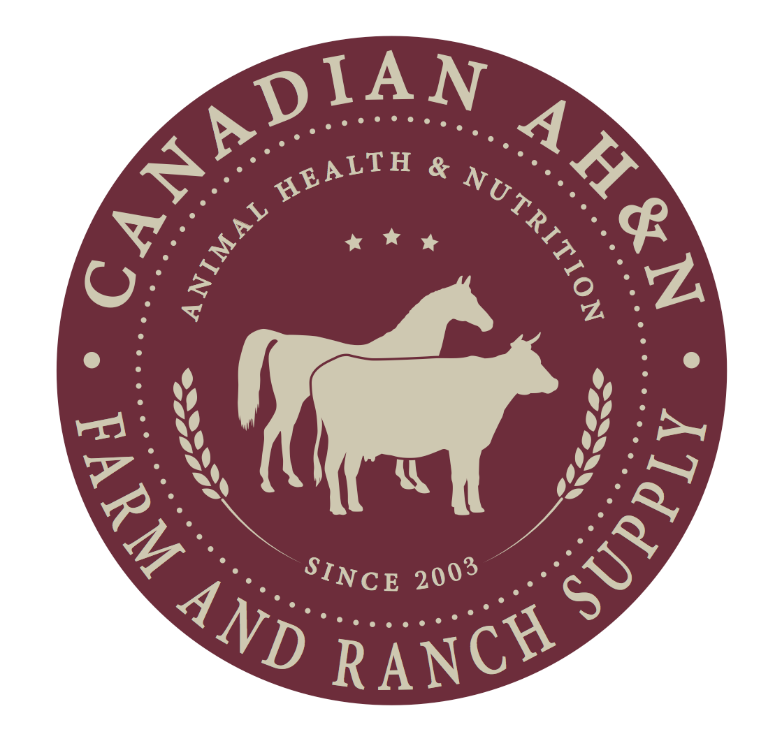 Logo Design by jeremygable1 for Canadian AH&N | Design #3864718