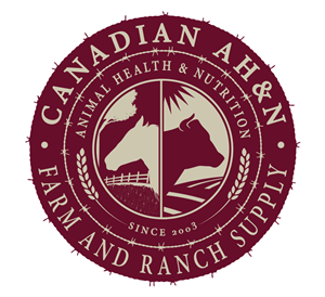 Logo Design by jeremygable1 for Canadian AH&N | Design: #3880152
