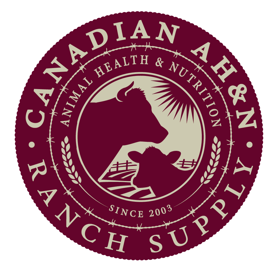 Logo Design by jeremygable1 for Canadian AH&N | Design #3892090