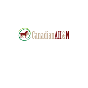 Logo Design by instudio for Canadian AH&N | Design: #3864501