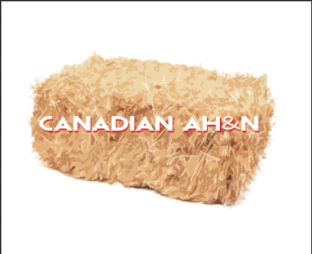 Logo Design by pippyle2 for Canadian AH&N | Design #3920256